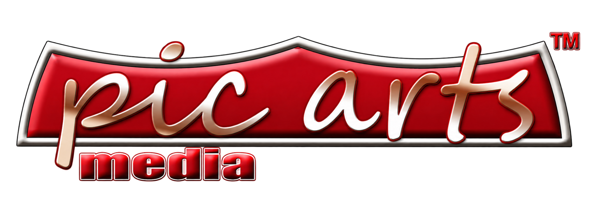 PicArts Media logo